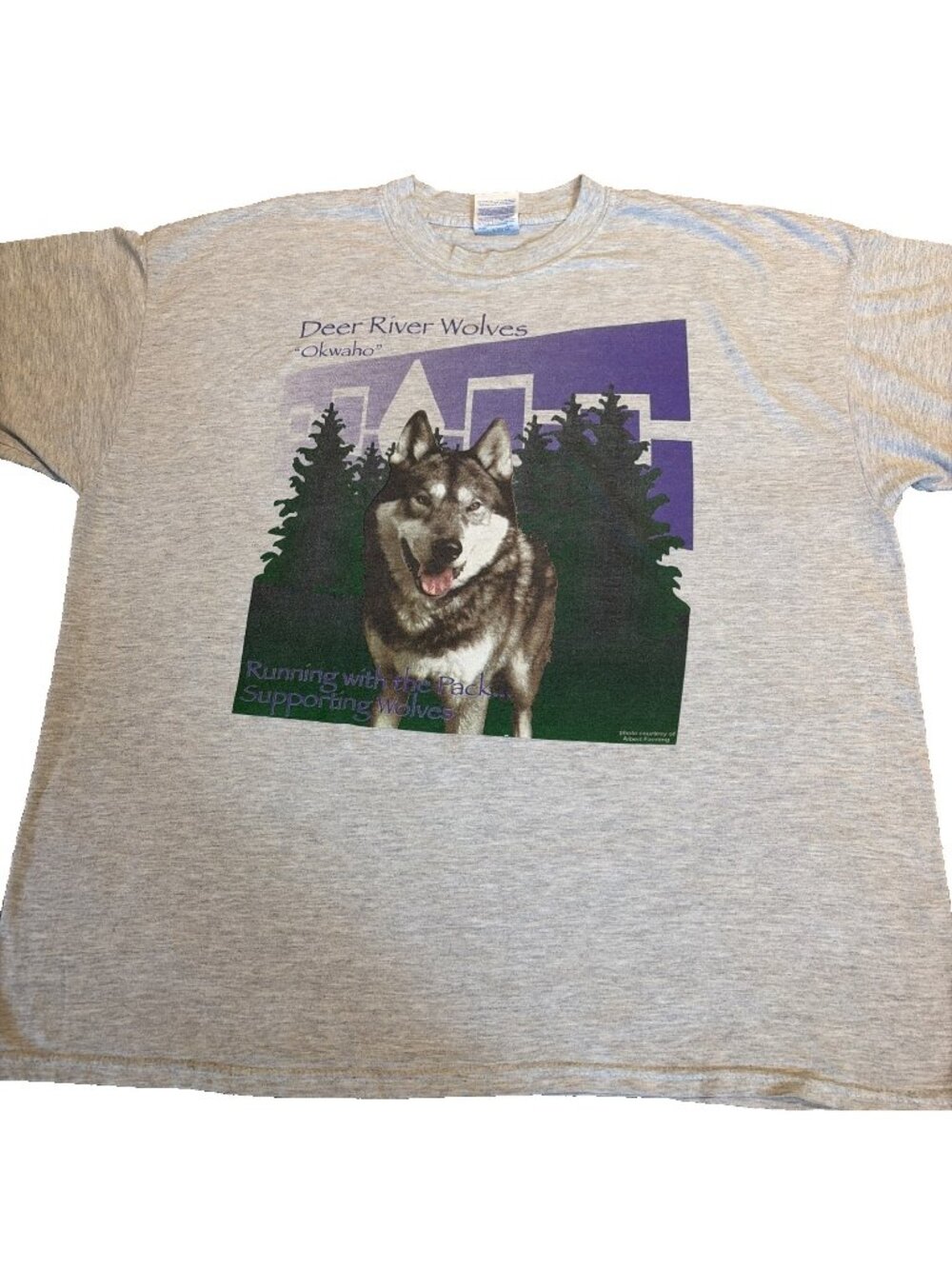 Vintage Timber Wolf T-Shirt Men's XXL Deer River Wolves Okwaho Native American